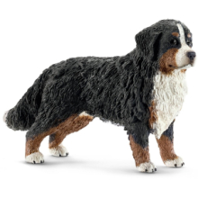 Bovaro Del Bernese