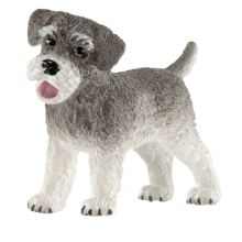 Schnauzer Nano