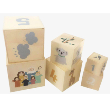 Promo Piramide Cubi in Legno Arca di Noè